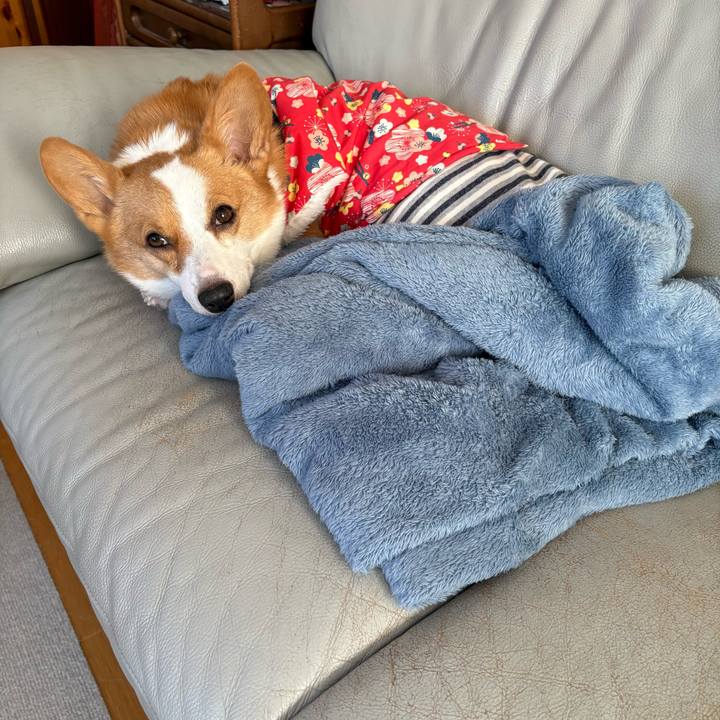 57ab9c75 f026 4137 8931 f403c513d018 1770679281253