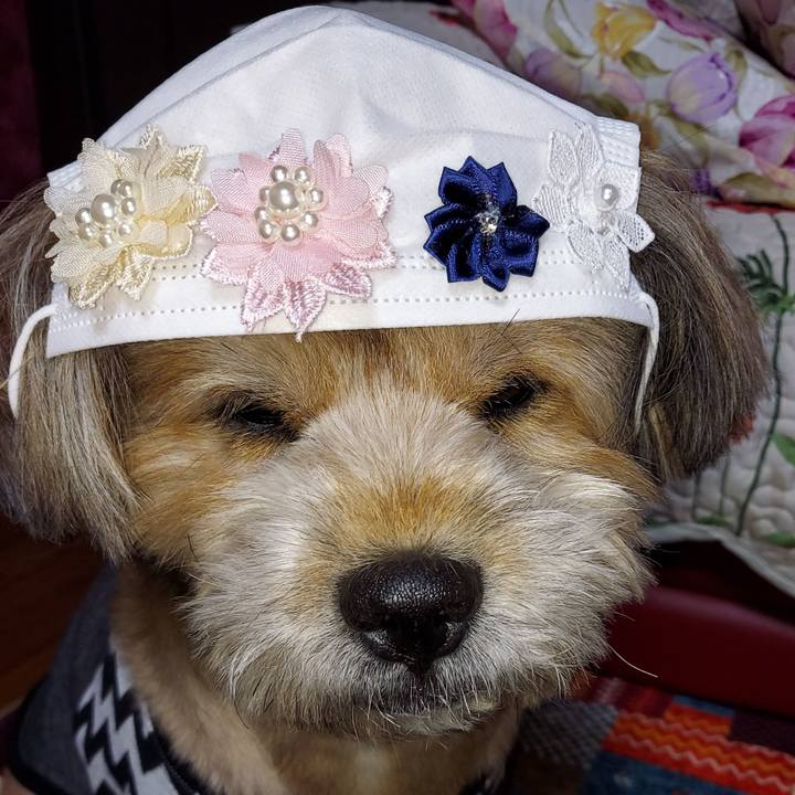 57aba8de 5ffb 45d3 a52d 963776c31e00 1635247939439