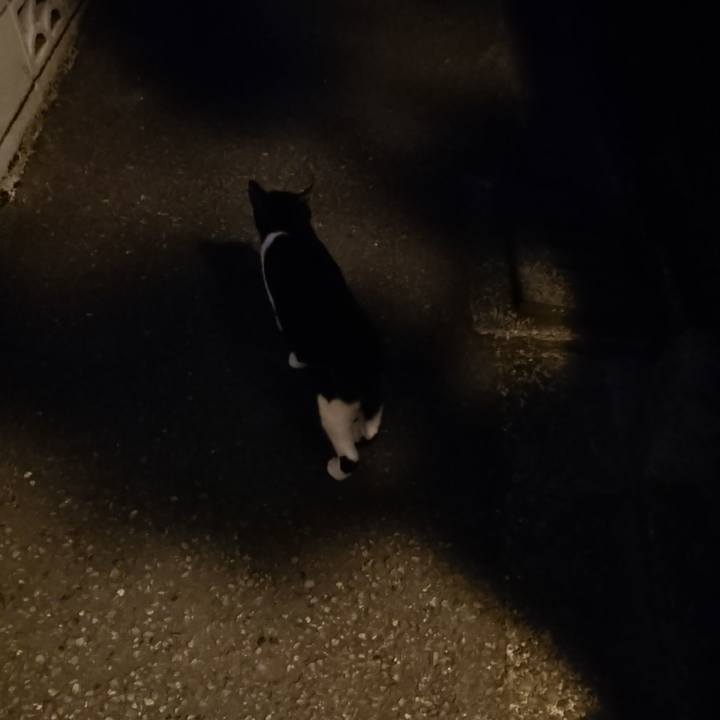 57abaf7d 9905 4fe1 9672 c623d87b4ab4 1695211800970