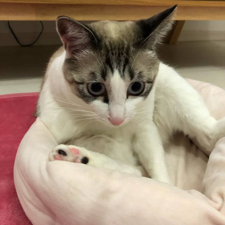 57abc39e 087c 43dc 9b43 494df8f0a67e 1547561649907