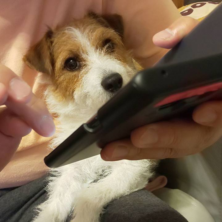 57ac28db c745 4864 a55f 05e40d2fe24b 1563622808945