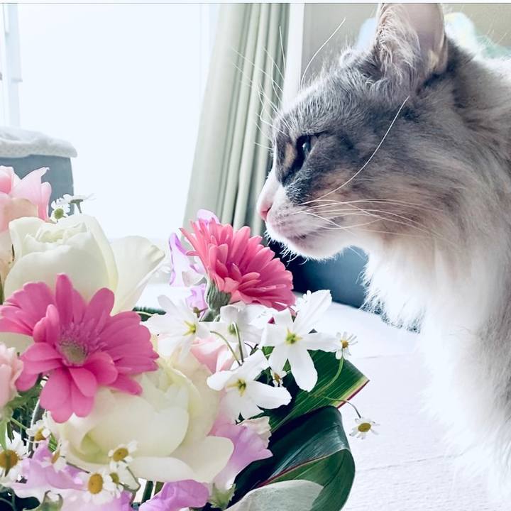 57ac4d40 ec42 4032 8825 55a922139da1 1644462724817