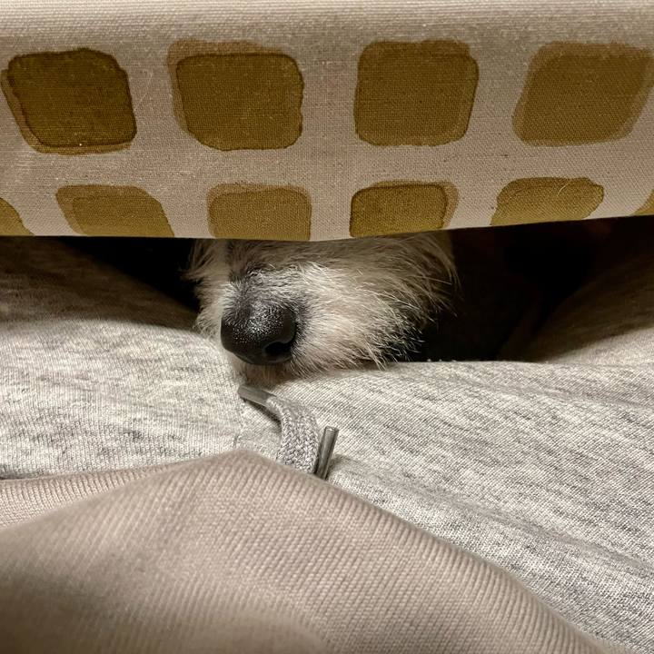 57ac81d9 da4e 43a4 8186 fa9a8692517a 1650427629821