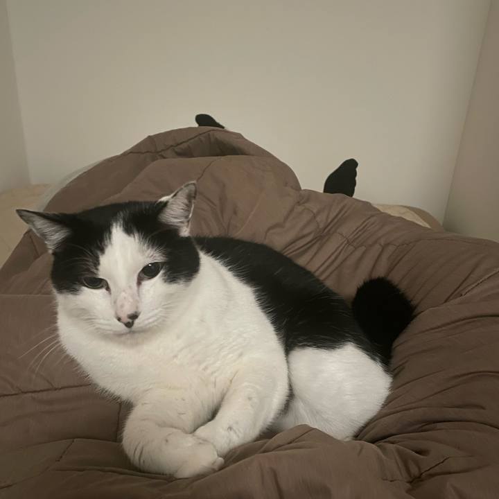 57acaee7 6994 4d9e 9e58 71bea002d682 1673975636807