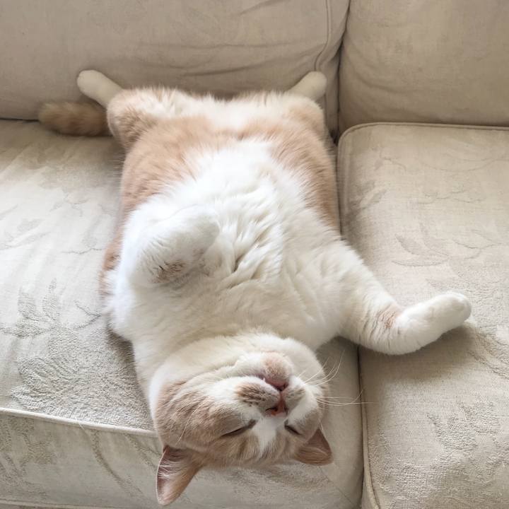 57accfcf f59d 4617 97e5 72e0eee5bcc3 1519265656254