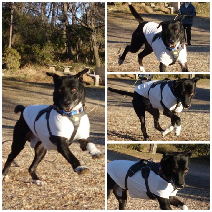 57acdcc9 9a0e 4f2b 8e5b 844f565c39c8 1644196106807