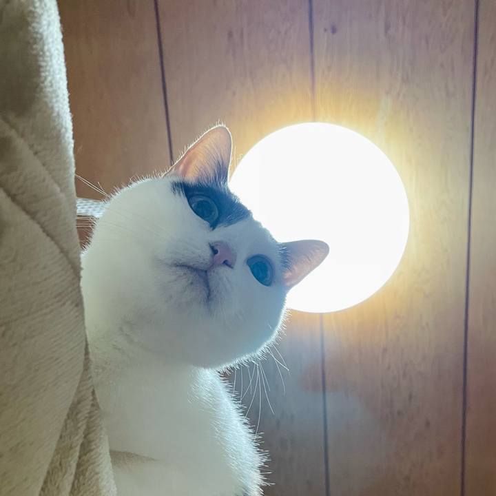 57acddfd 7ae5 49c3 9572 261b0bde3f67 1643857458505