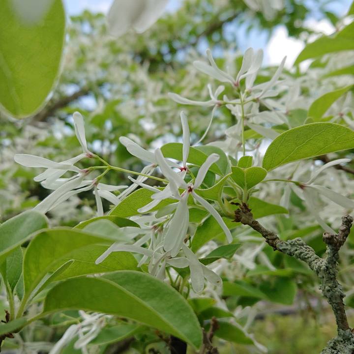 57ad2b01 7284 429e a325 77f5d714c3d1 1556379487086