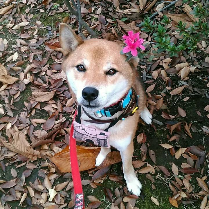 57ad4c31 cadb 401e 80bf c29a4fbec517 1542591354609