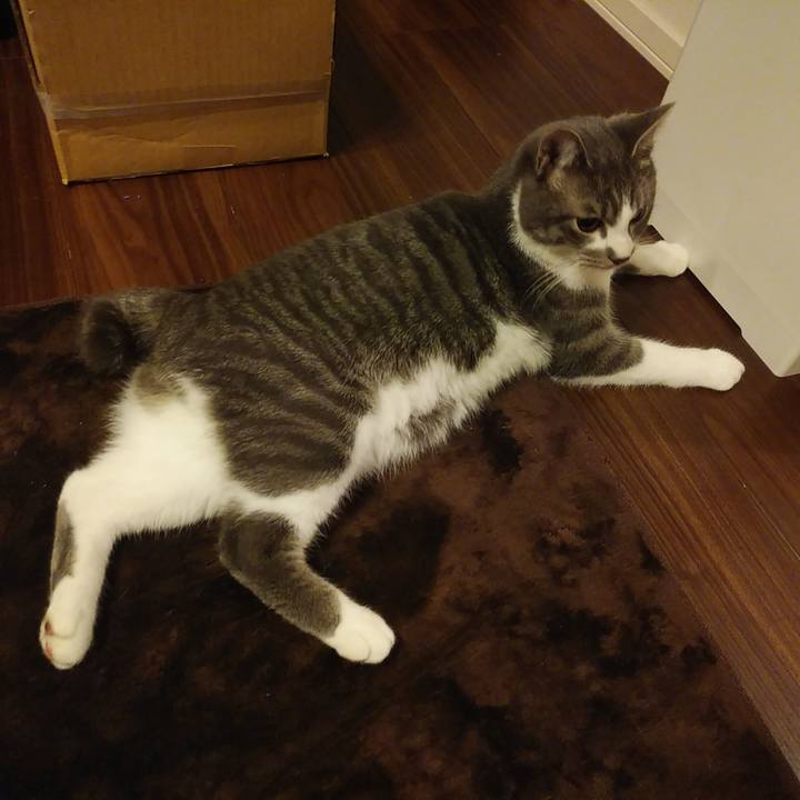 57ad552c d3dd 44d4 9247 63d6d2feb2a8 1578239563144