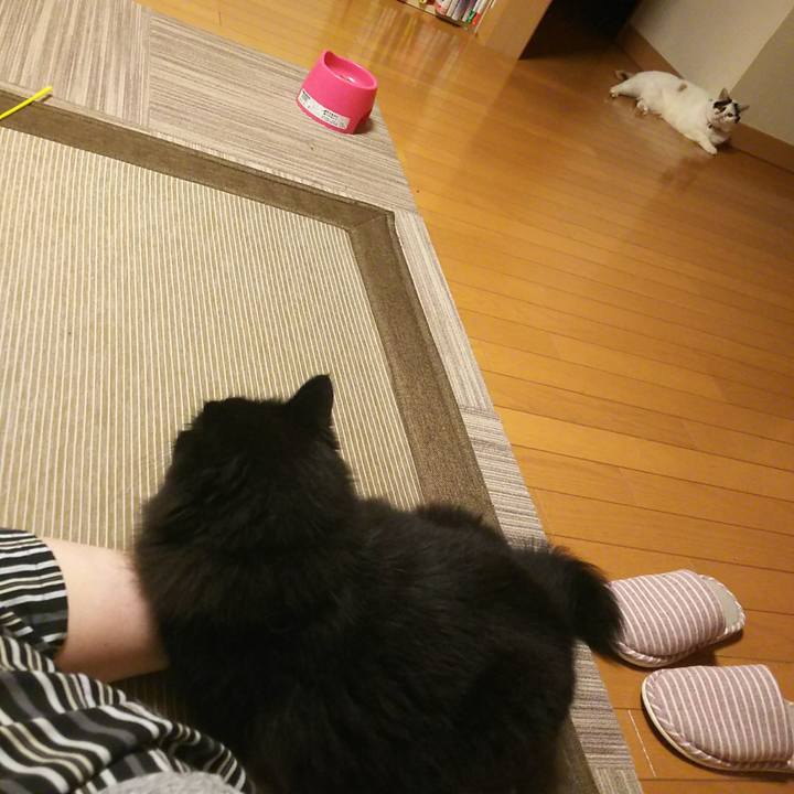 57ad7961 7771 4d1e 906a 21e15661c408 1532697747606