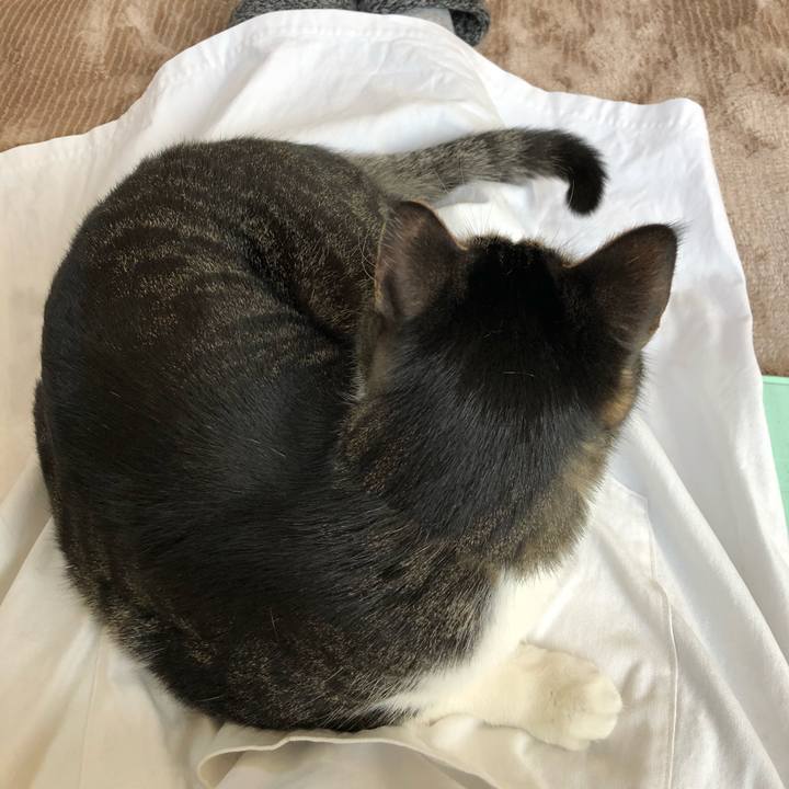 57adb187 c8c0 4324 9c3b 8173107868d4 1520986697176