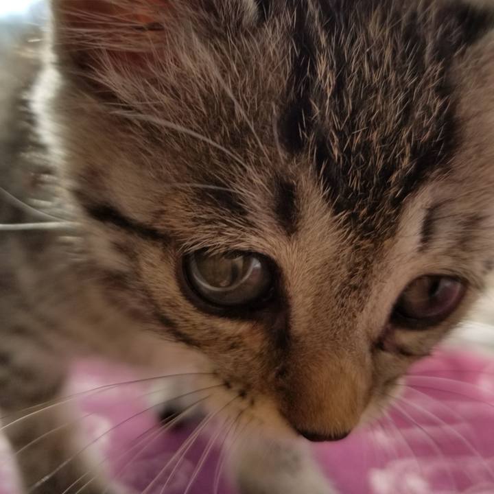 57adbad0 193e 4f7b 8a31 c7c834b4e0cc 1662207894946