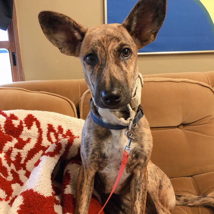 57adf745 b92d 4cbb b1cc 3f151bf49091 1574415171201