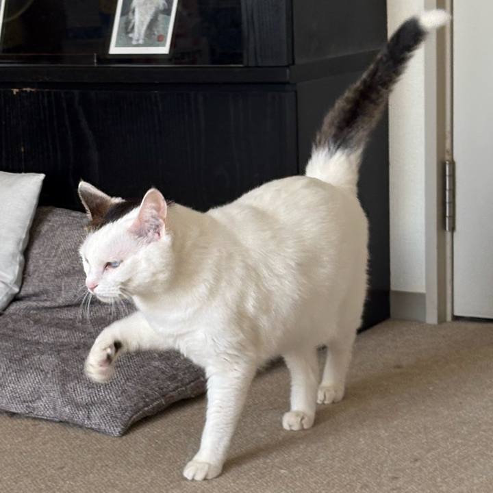 57ae6514 d1ca 4431 bdc2 5211d3c57b25 1770164129733