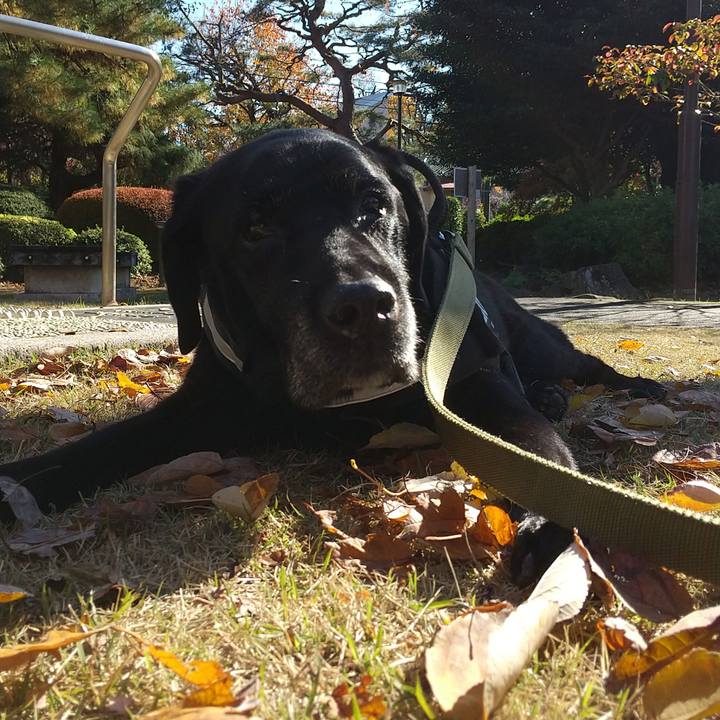 57ae798e c87a 497d 9afc bebe094b740d 1701838685350