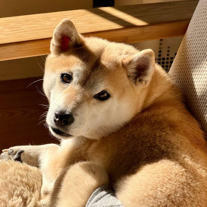 57ae7d2f 3ca1 4b90 9151 72750ef42641 1770174843458