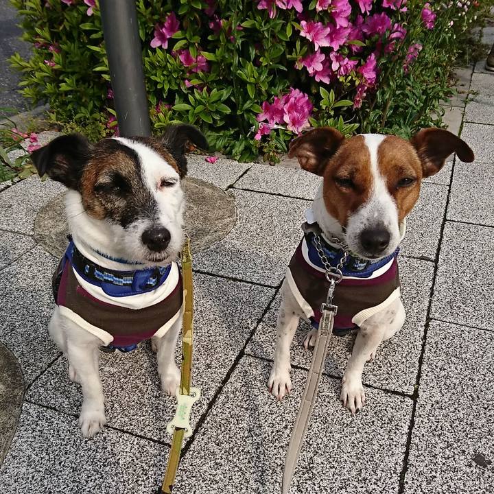 57ae9870 a3b9 4f76 b5ef 0e2dd5a8a70d 1588201230484