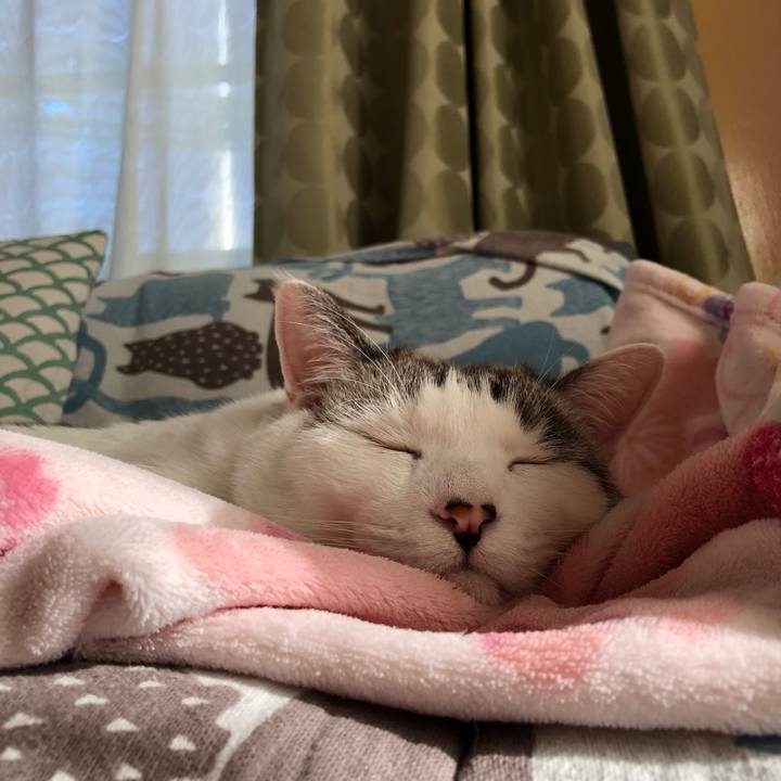 57ae9f30 e17c 461c 9908 203f1444c555 1669526586023