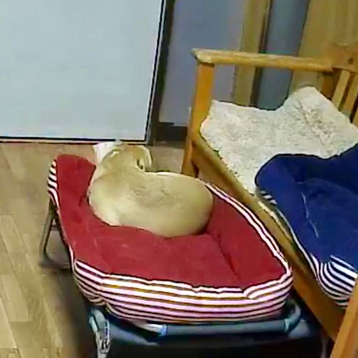 57aeb7cd eff4 4667 8acb 09c124aa4898 1582697085098