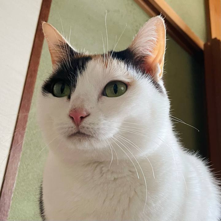 57aecfea b2d5 4665 92bf c4fd60b62b2e 1643075332816