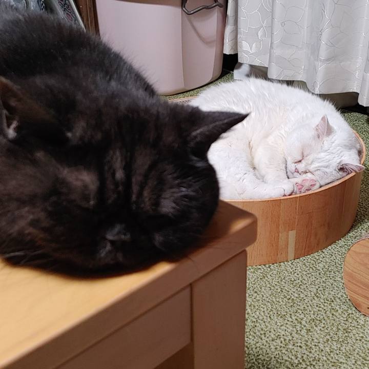 57aee592 0a86 4364 a84f 54b81bc28aee 1638797162244