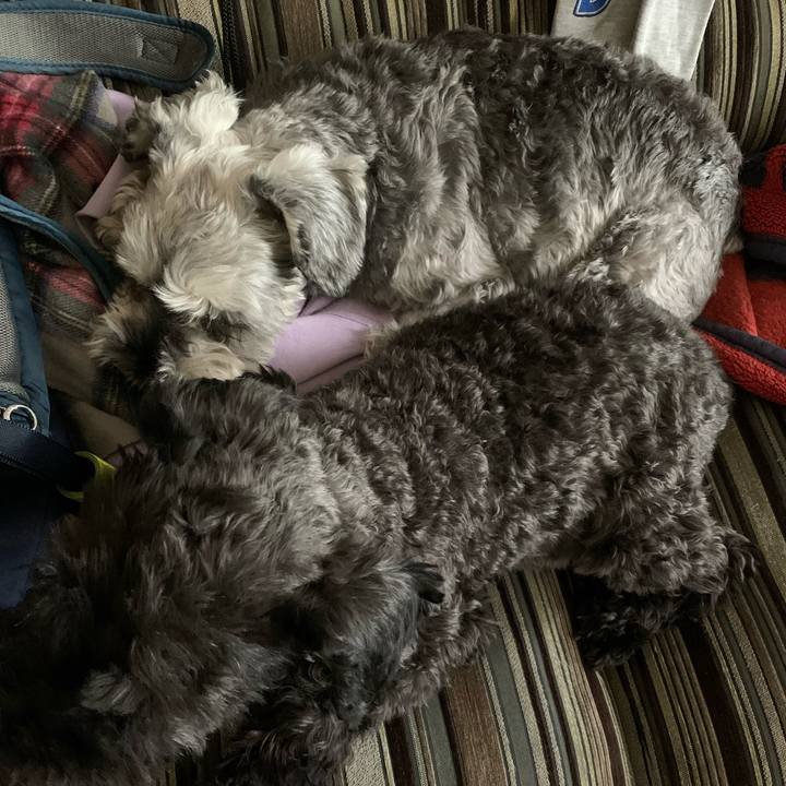 57aef820 45a9 43a4 a217 d9c30db2c976 1685581293997