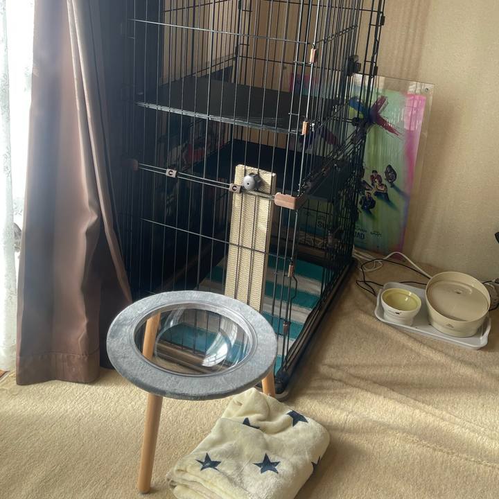 57af1ca1 d42d 4d18 9421 18dba690b6c5 1737853393840