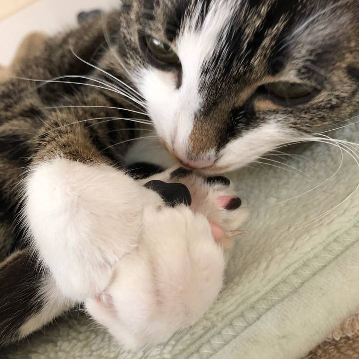 57af85ad 136f 41fd 82e1 2025fde4ddf3 1523067271390