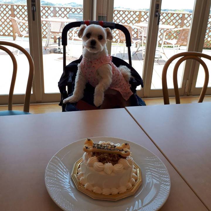 57aff624 7191 42b1 ba62 aba51b451f82 1540557781523