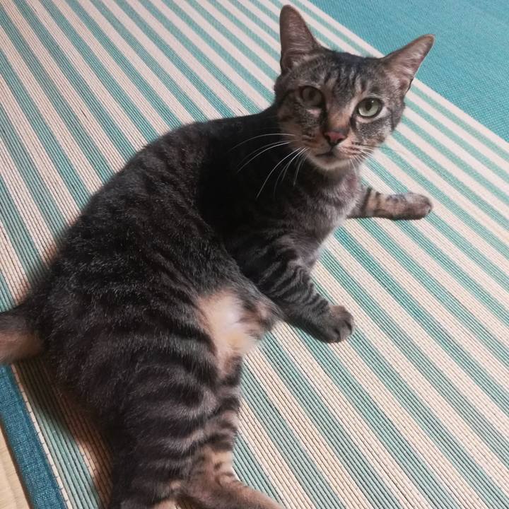 57affeb2 21b9 4f17 9d51 63c82b0a29a7 1561540232244