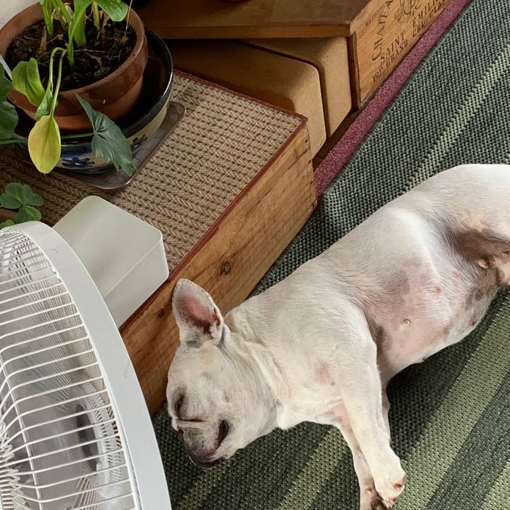 57b04f67 ce21 4be7 8d4a c47edca64bb8 1720306112361