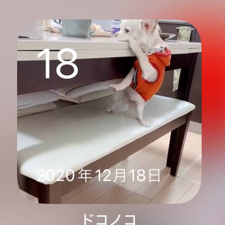 57b0844b b61f 46a1 855b 8d618e980c94 1702873145750