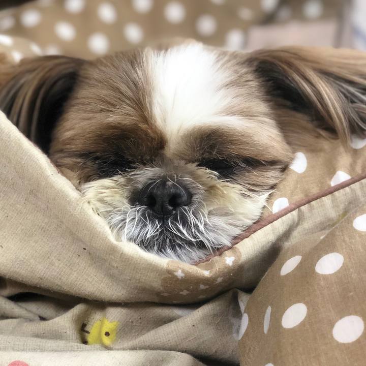 57b09142 4921 421a 825d 821c7c6e2462 1585366061589