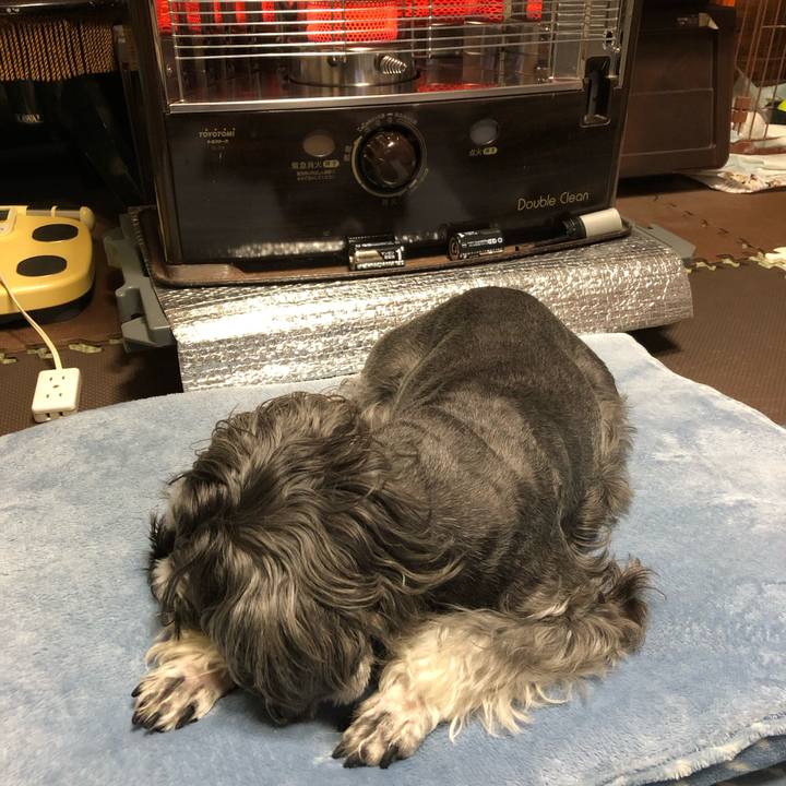 57b09271 7f95 474d a1c8 705b1b814ce5 1700220244286