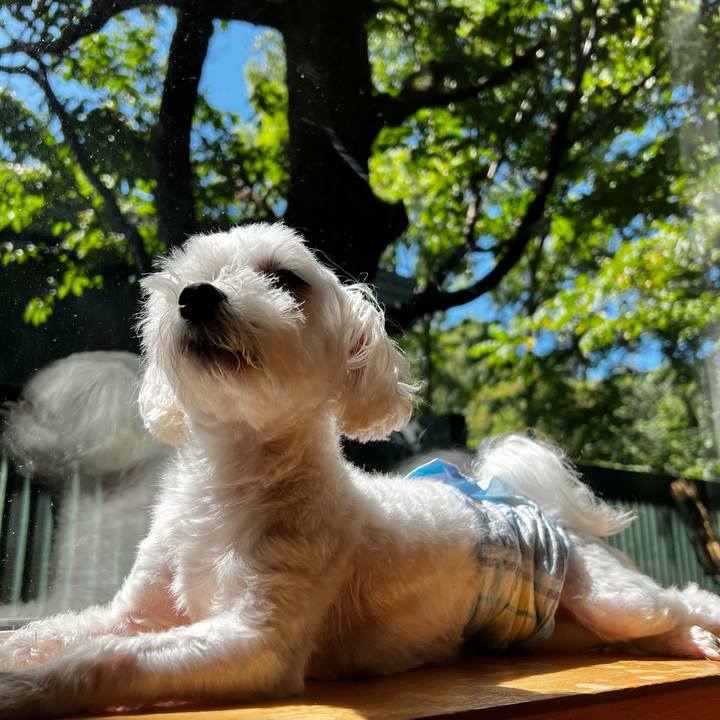 57b0b8d8 f272 409b a502 56b54cf7779d 1661399815394