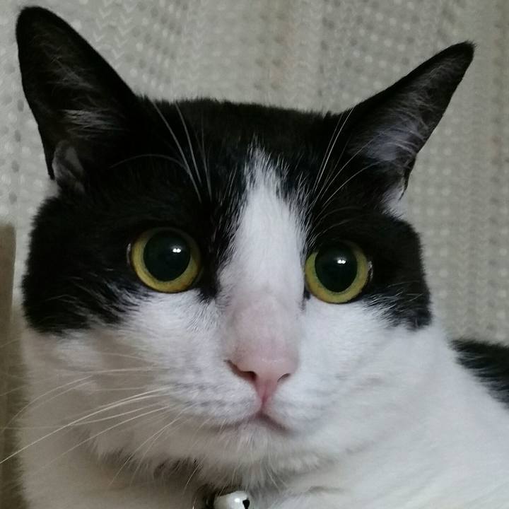 57b0c7b7 db51 4487 92a4 1c991b69387a 1530918449993