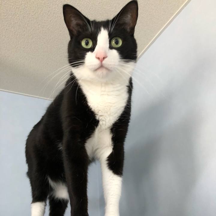 57b0ca3c 755d 4d1f 884f 1ec69a39ff2e 1523068641332