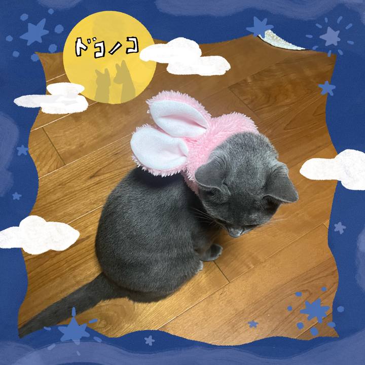 57b10534 e083 46e3 ae04 09019781dc34 1726813074254