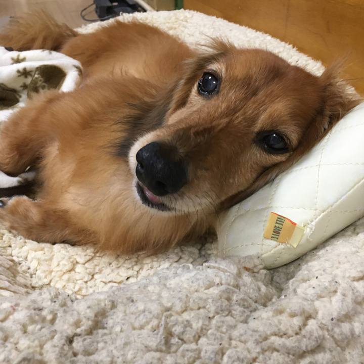 57b113a5 b2f9 45f8 acb0 f79cca91ba13 1589551502340