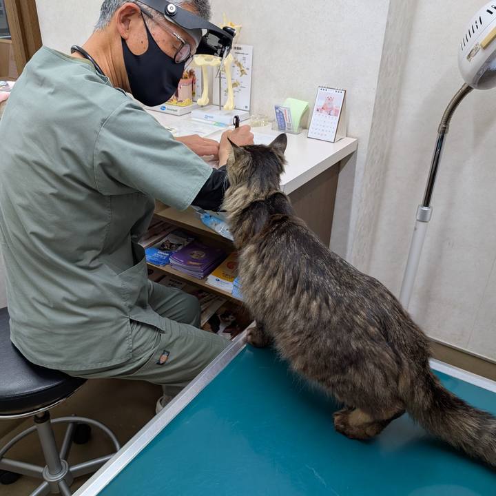 57b1164f ff95 4f99 be21 363511c982fa 1776812368582