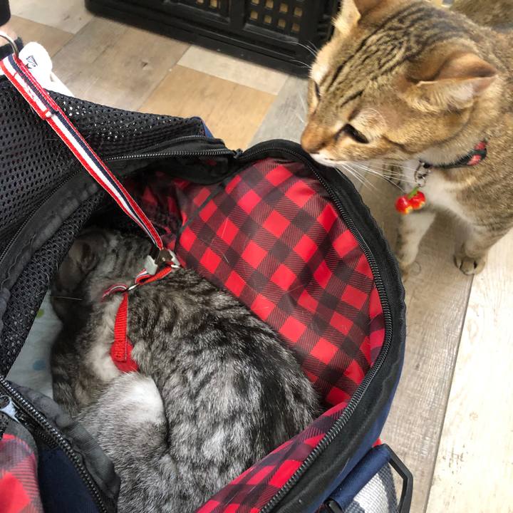 57b119d6 d75a 439c a3f9 a57a22ffe476 1667701278242