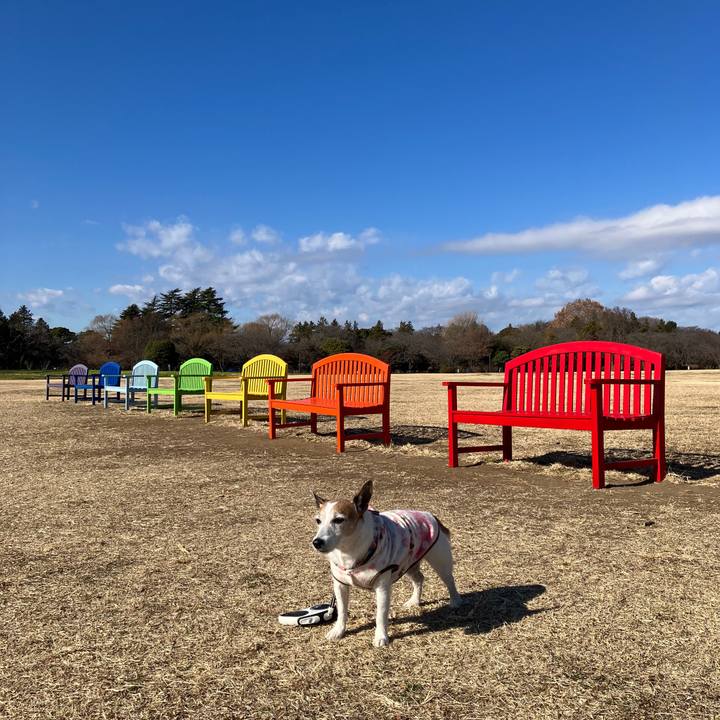 57b13400 6843 4a55 9d36 c415b400a81f 1705361055328