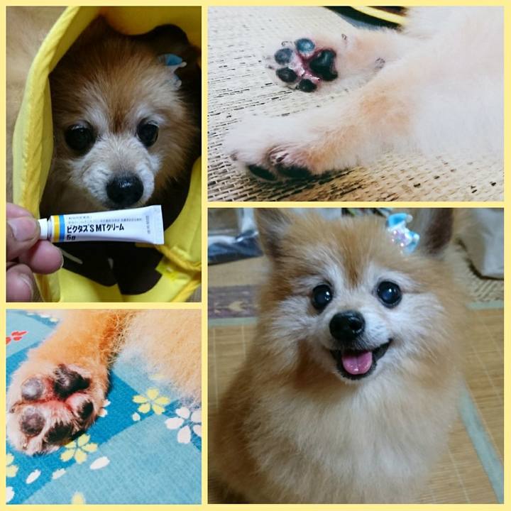 57b13e2b 133e 49ad 86ce 388909520a3c 1561623716478