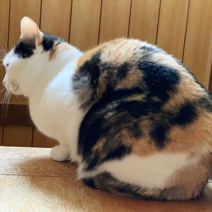 57b1d19a 80b1 4142 aa76 bc57600ab0f8 1555294939042