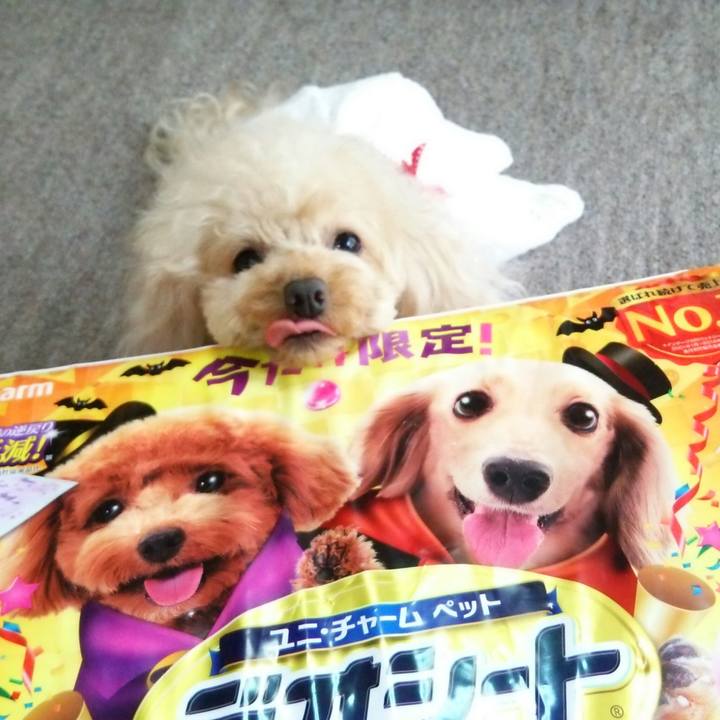 57b1ed48 6c54 45e8 865f d2991068f7a0 1537260576210