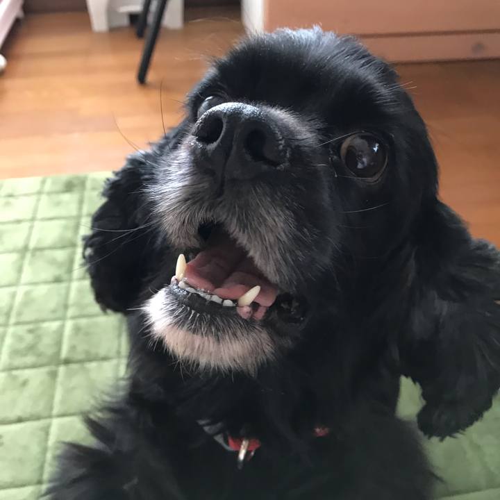 57b20c43 0193 4db9 bb63 3cd21d925751 1541407287735