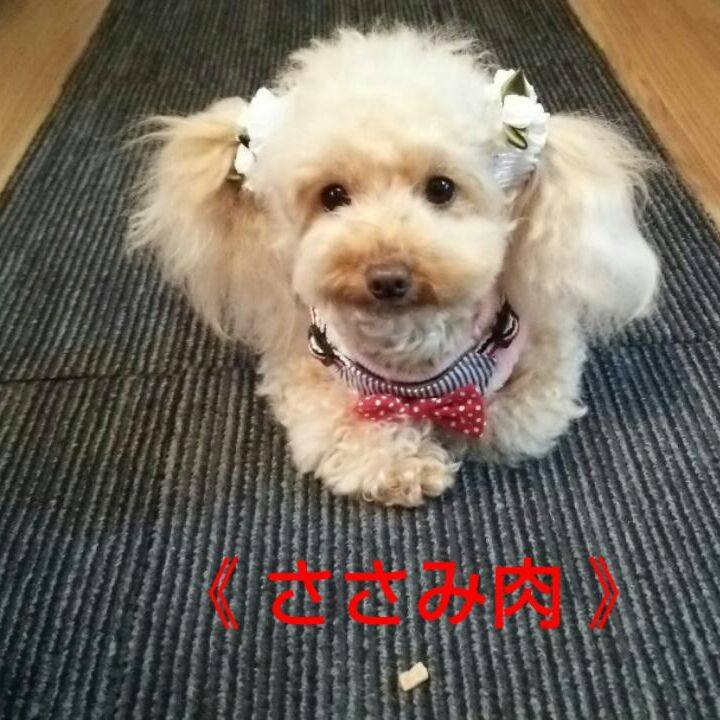 57b2aeb2 c54f 42bc a37c 63491d4678f1 1545899540966