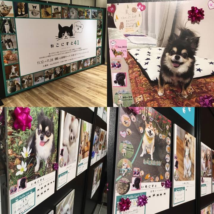 57b2d153 94d6 49bb bd56 4886de7168ae 1637144309312