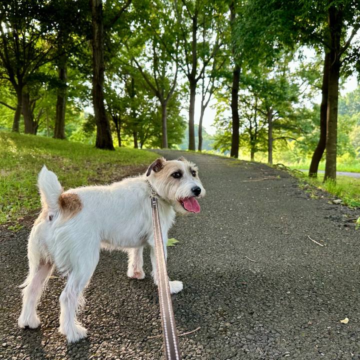 57b2ead4 7e74 44a0 9c9c 399f91a62141 1754720003742